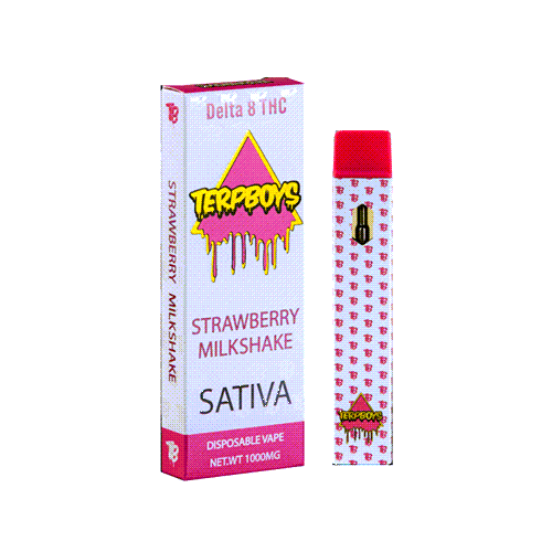 Terpboys Sativa Delta 8 THC Disposable Vape Device - 1PC - Ohm City Vapes