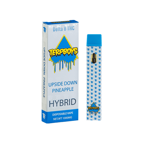 Terpboys Hybrid Delta 8 THC Disposable Vape Device - 1PC - Ohm City Vapes